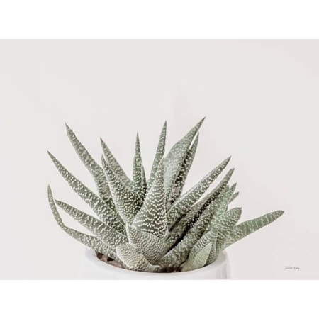 Giclee Canvas (Sold Separately)