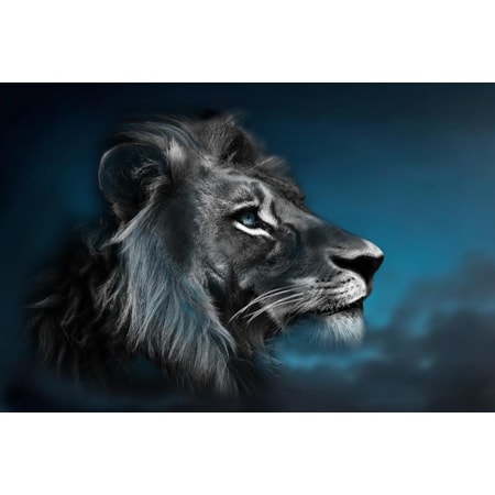 Giclee Canvas (Sold Separately)