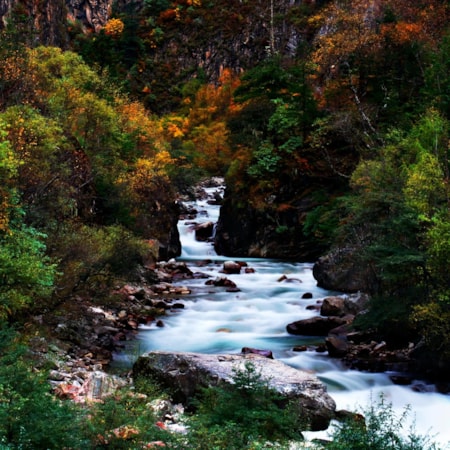 Giclee Canvas (Sold Separately)