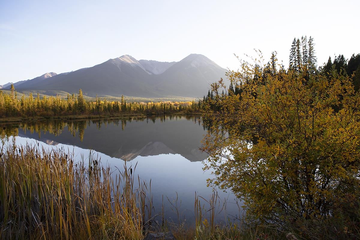 Giclee Canvas (Sold Separately)