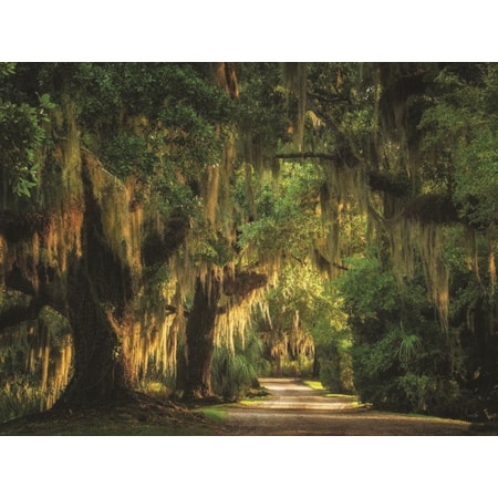 Giclee Canvas (Sold Separately)