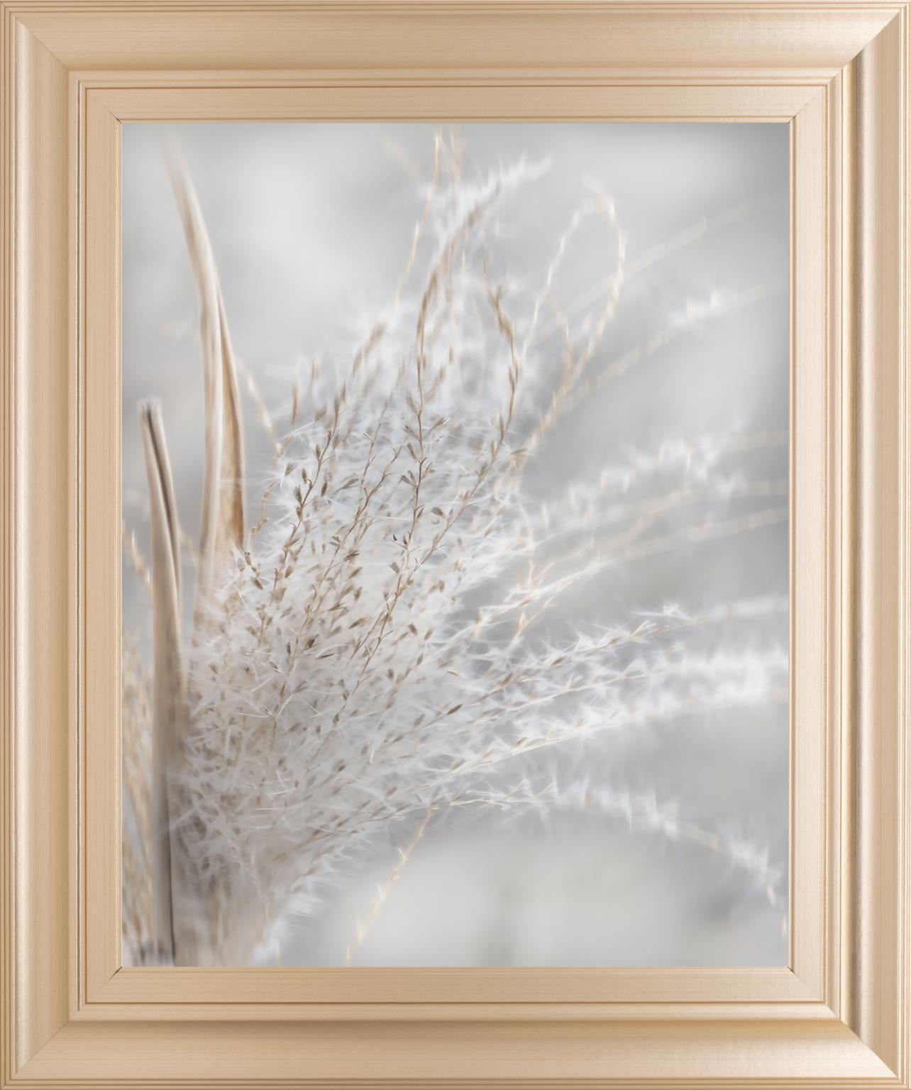 22X26 Framed Print