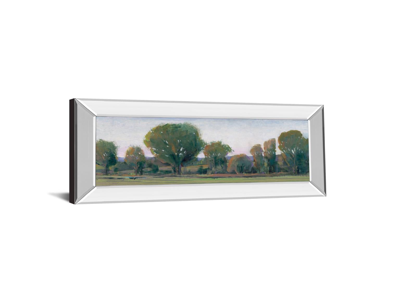 18X42 Mirror Frame Print