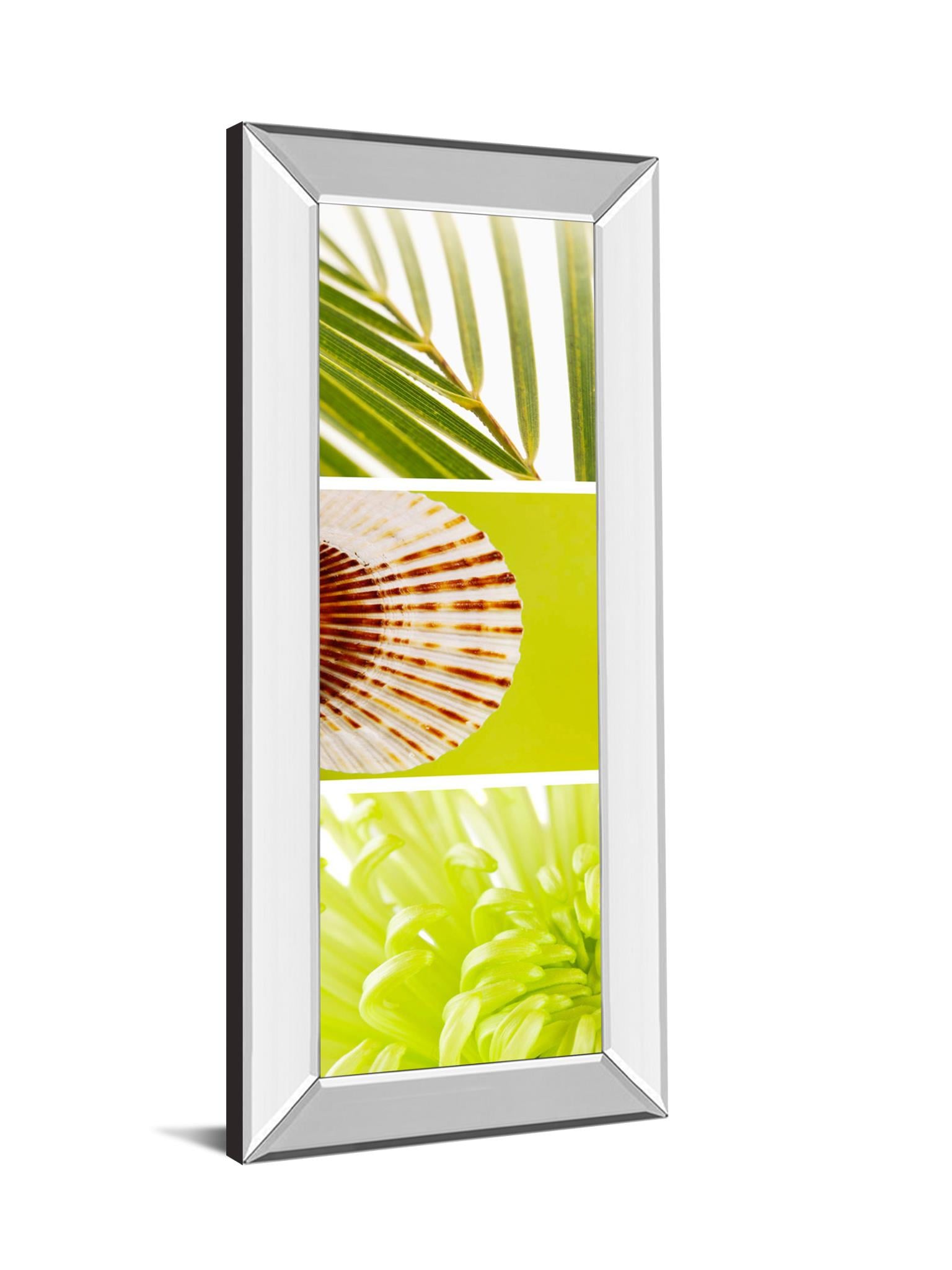 18X42 Mirror Frame Print