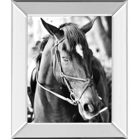 22X26 Mirror Frame Print