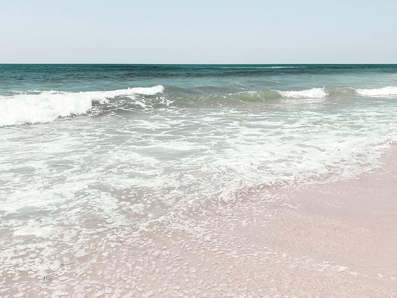 Giclee Canvas (Sold Separately)