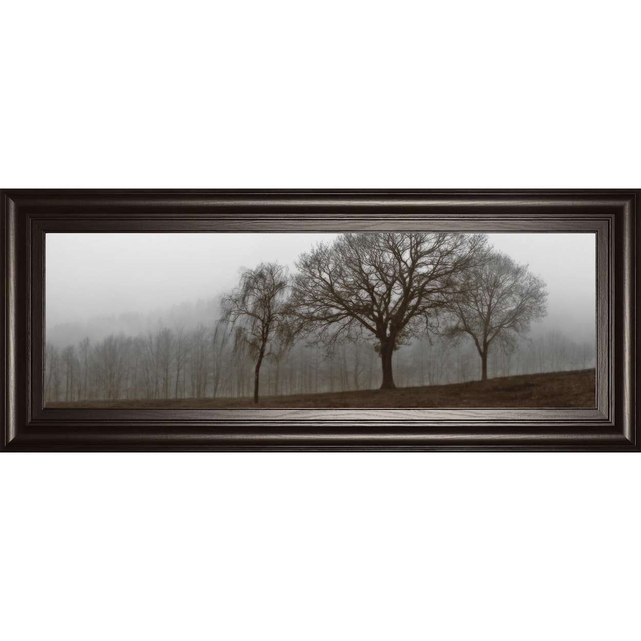 Classy Art Classy Art Framed Print 18x42