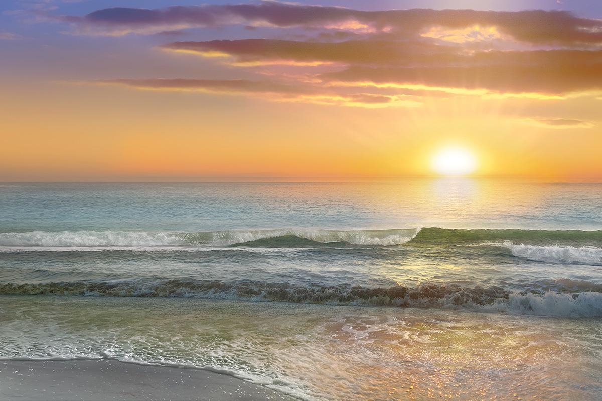 Giclee Canvas (Sold Separately)