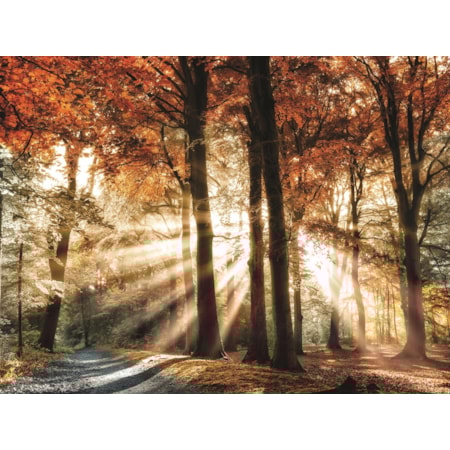 Giclee Canvas (Sold Separately)