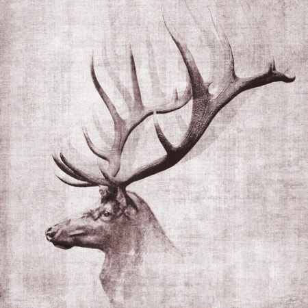 Giclee Canvas (Sold Separately)