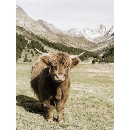 Giclee Canvas (Sold Separately)