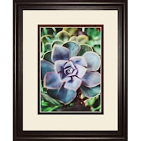 Framed Print 34x40