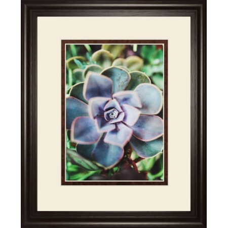 34X40 Framed Print