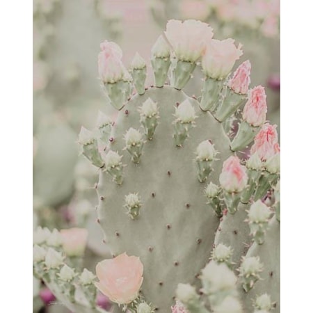 Giclee Canvas (Sold Separately)