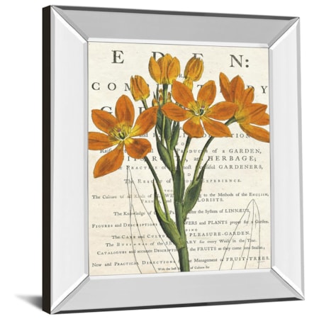 22X26 Mirror Frame Print