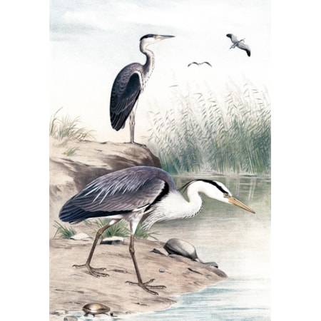 Giclee Canvas (Sold Separately)