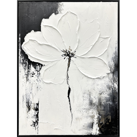 Curated Canvas