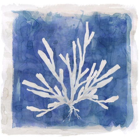 Giclee Canvas (Sold Separately)