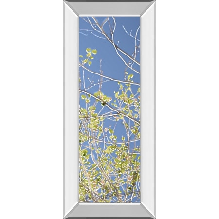 18X42 Mirror Frame Print