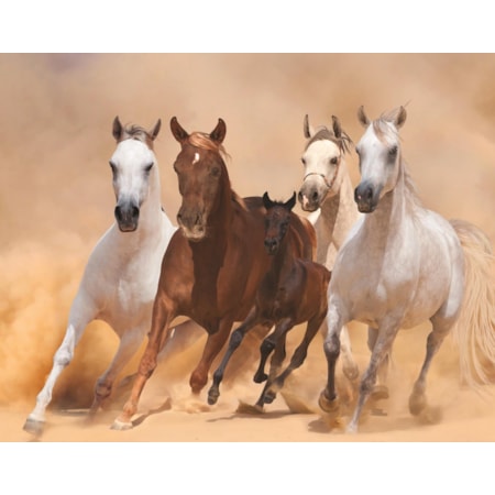 Giclee Canvas (Sold Separately)