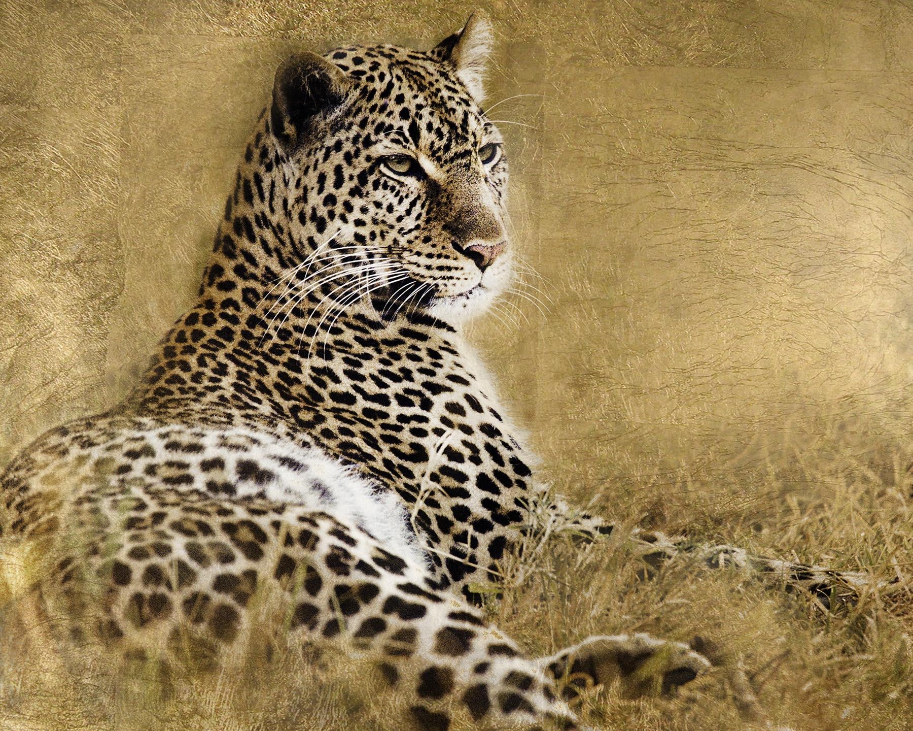 Giclee Canvas (Sold Separately)