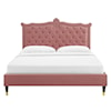 Modway Clara Clara Velvet Queen Platform Bed