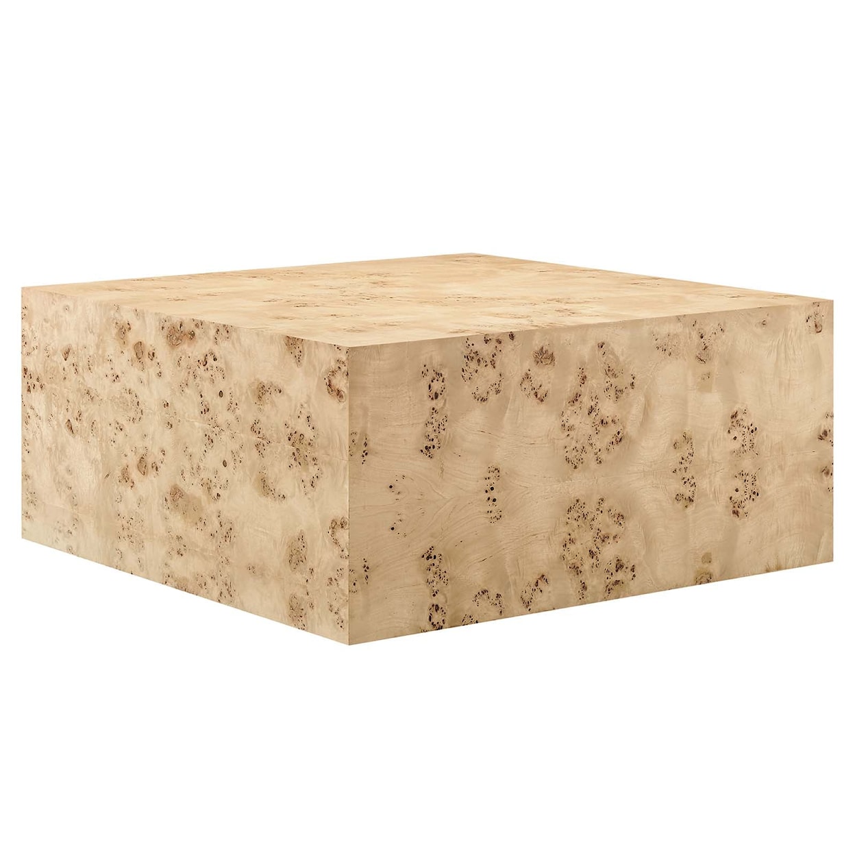 Modway Cosmos Cosmos 36" Square Burl Wood Coffee Table