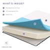 Modway Aveline Twin Mattress