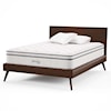 Modway Jenna California King Mattress