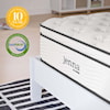 Modway Jenna Twin Mattress