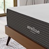 Modway Aveline California King Mattress