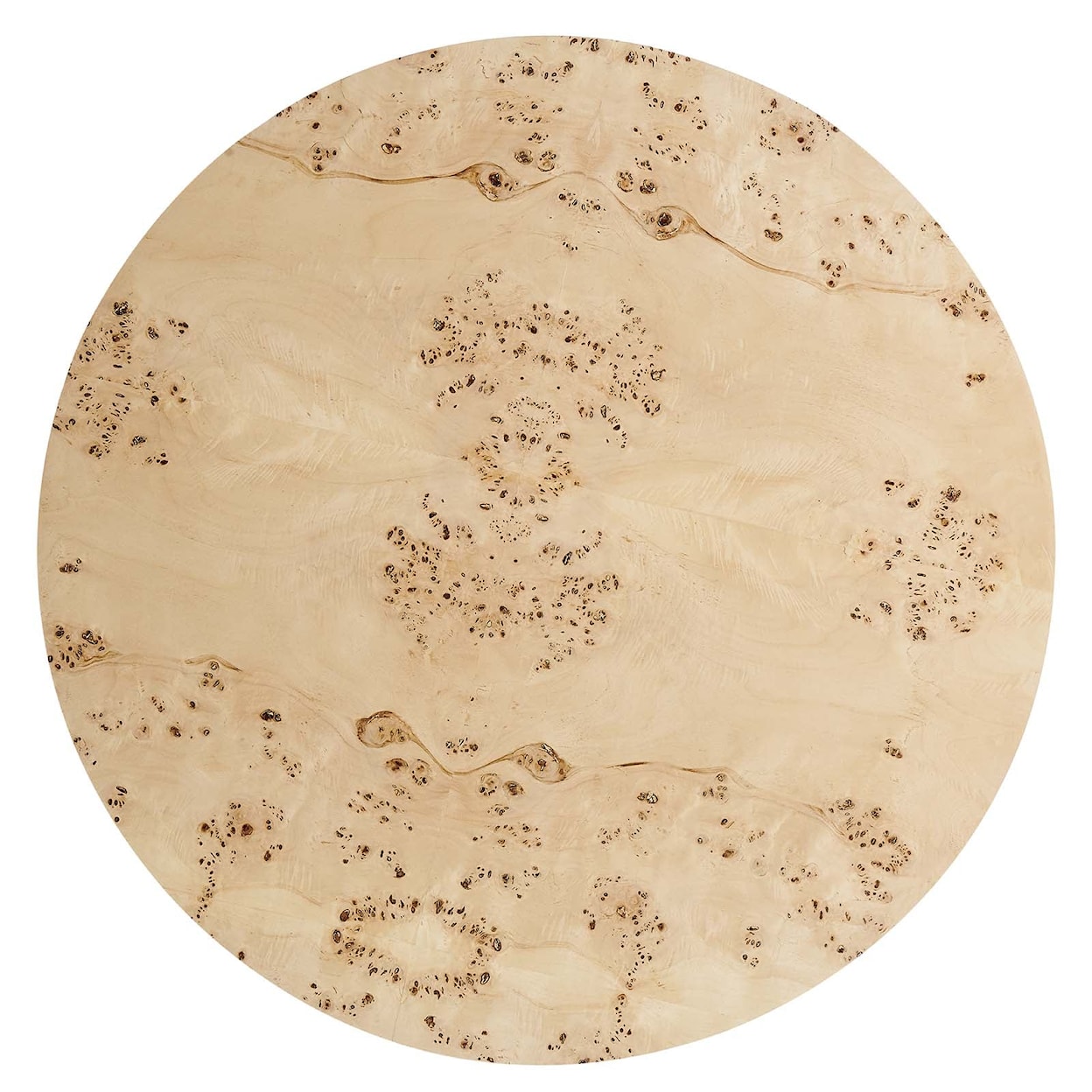 Modway Cosmos Cosmos 35" Round Burl Wood Coffee Table