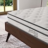 Modway Jenna Queen Mattress