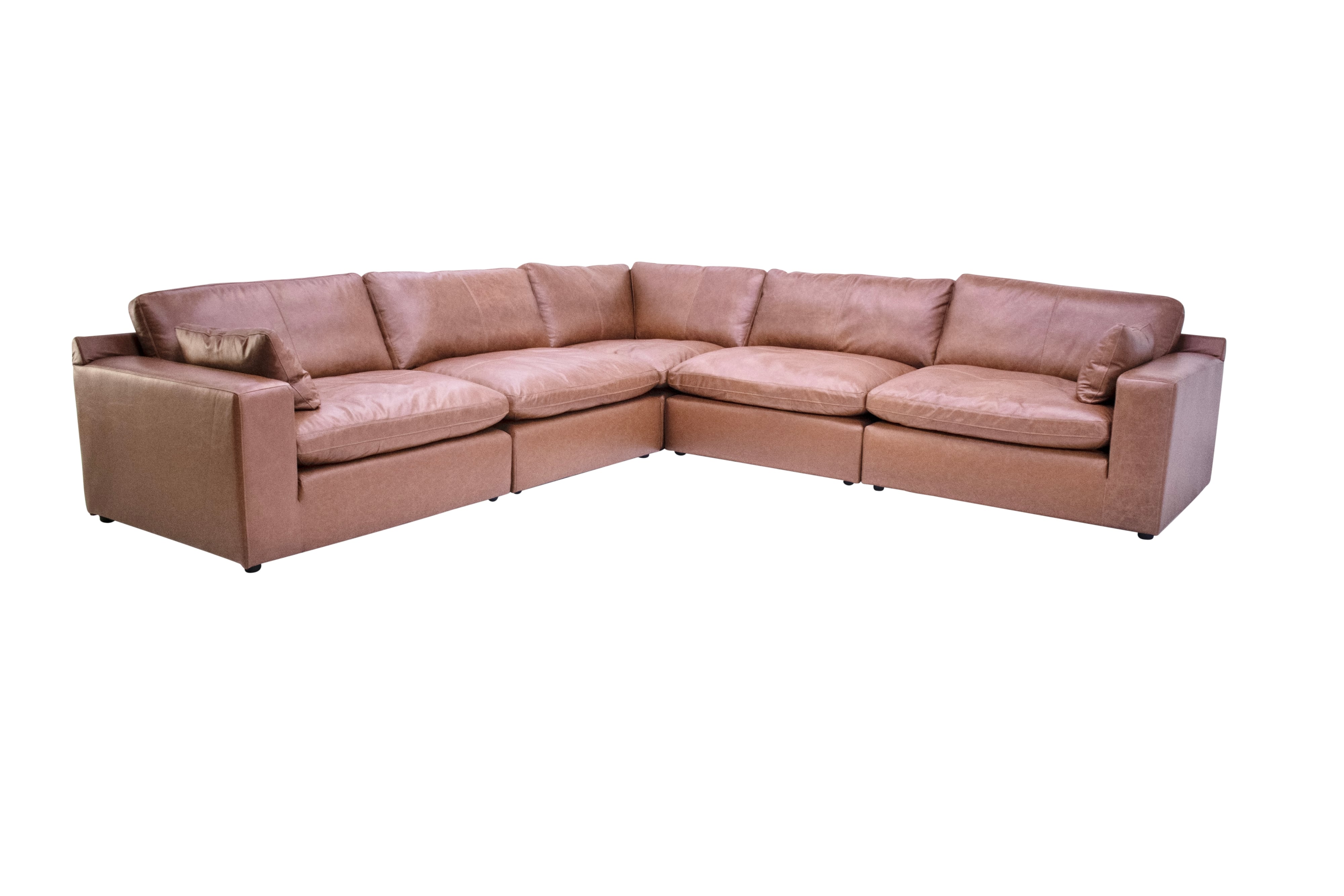 Collection Thumbnail