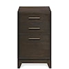 Carolina River Rafferty Umber File Cabinet