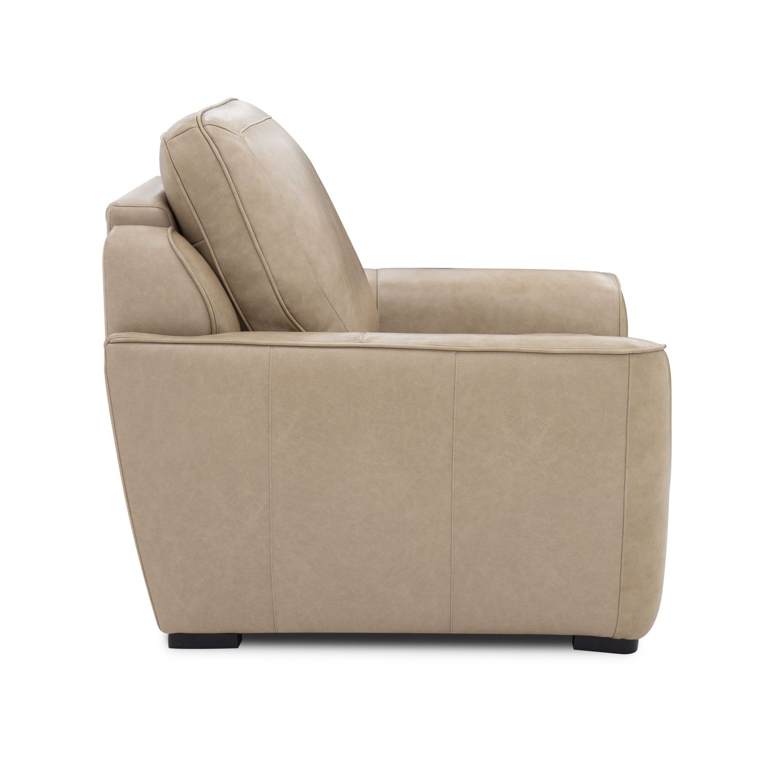 Power Recliner