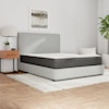 idealSLEEP South Bay International Cal King Split Mattress