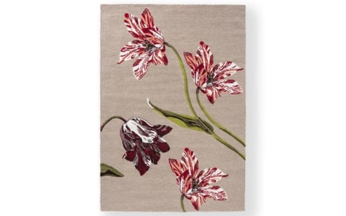 Rug-Indoor/Outdoor 8 x 11