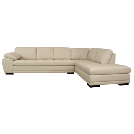 Leather Sectional