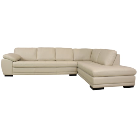 Leather Sectional
