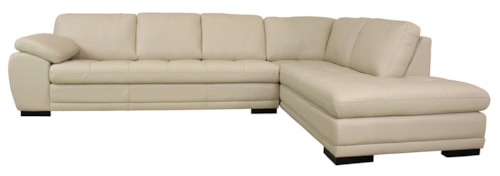 2-Piece Leather Sectional