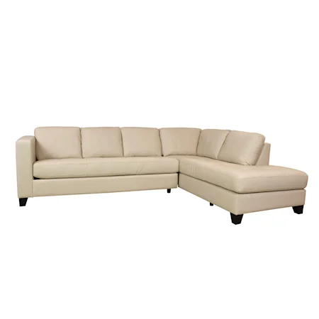 Jura 2 Piece Sectional with Chaise