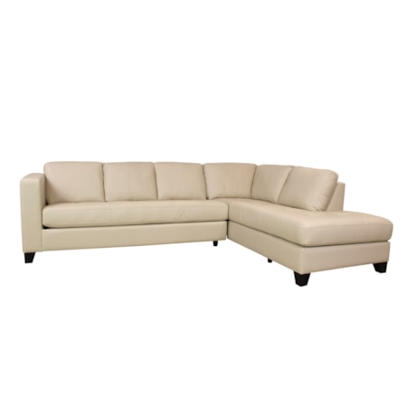 Jura 2 Piece Sectional with Chaise