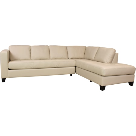 Jura 2 Piece Sectional with Chaise