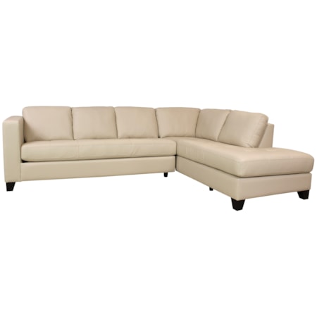 Jura 2 Piece Sectional with Chaise