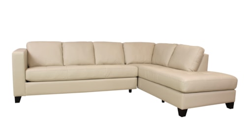 Jura 2 Piece Sectional with Chaise