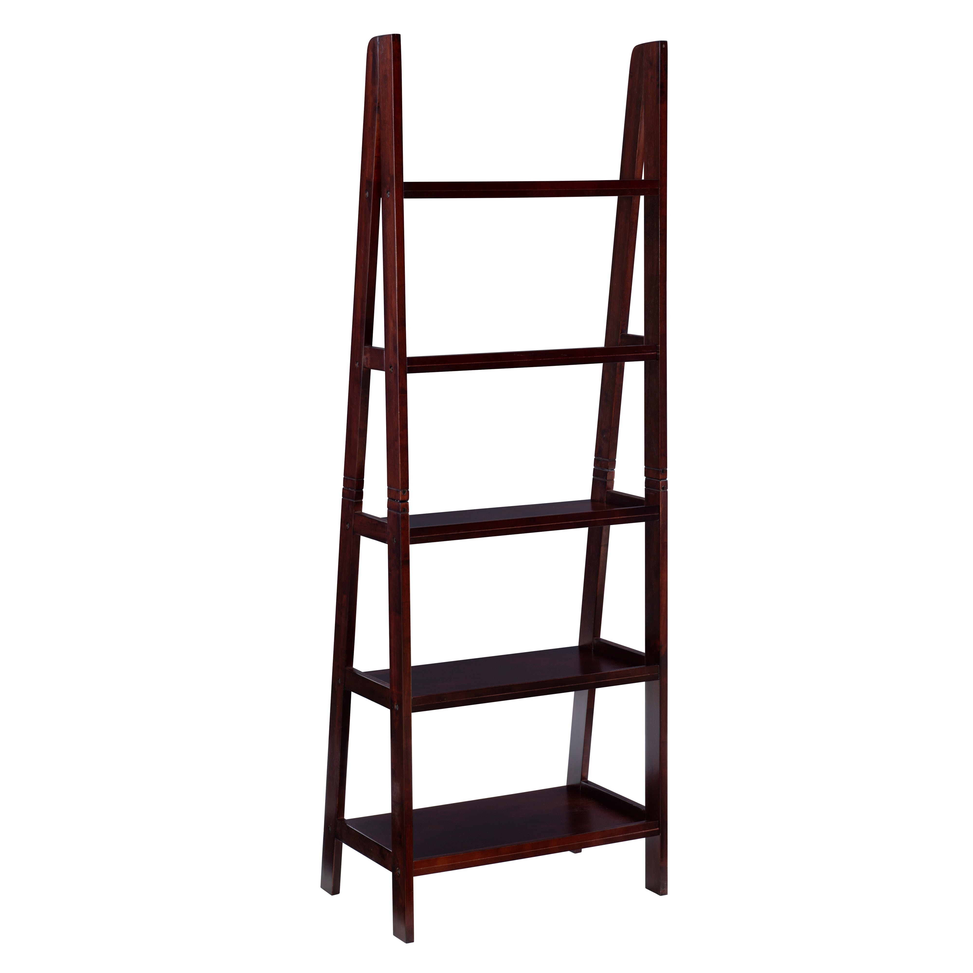 Ladder Bookshelf