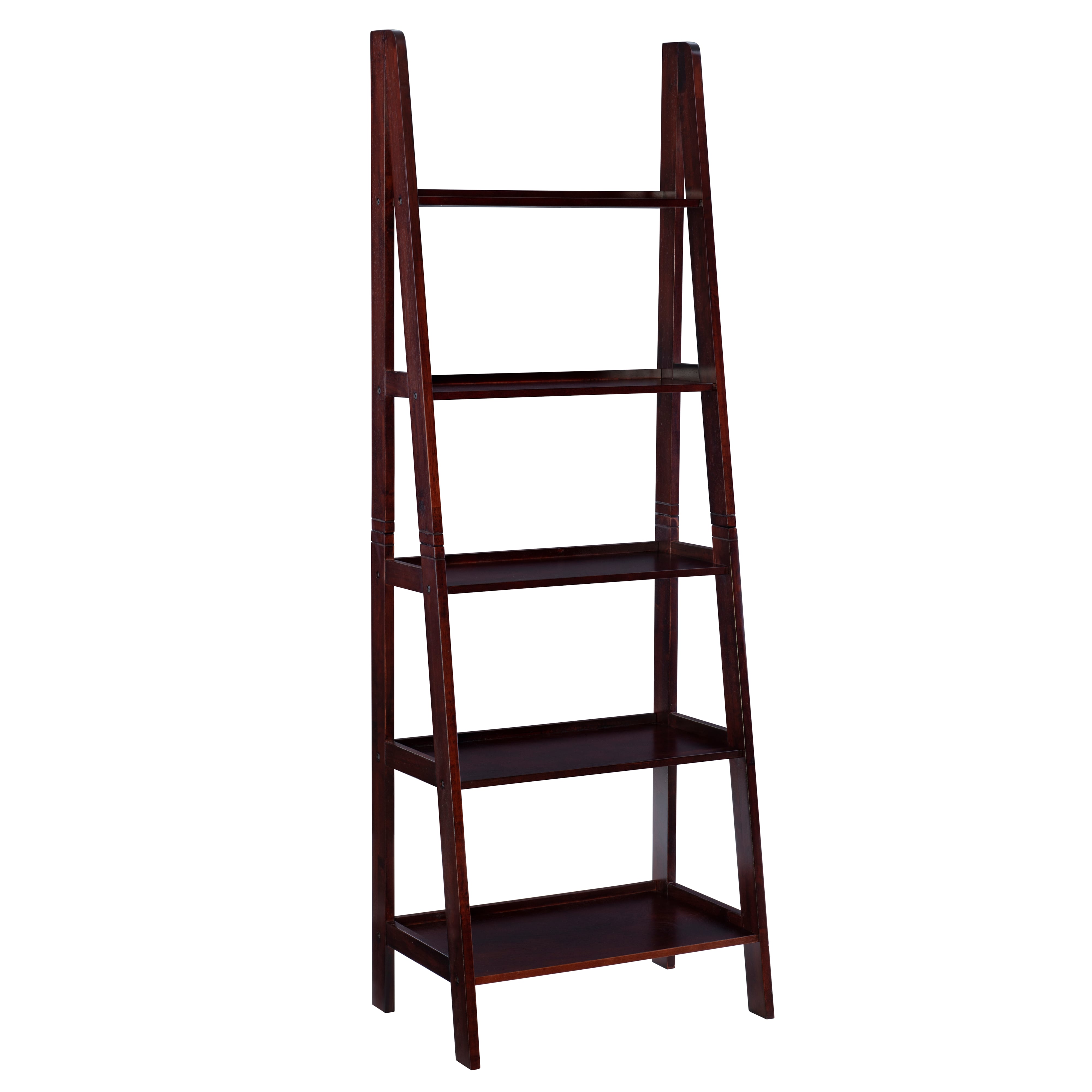 Ladder Bookshelf