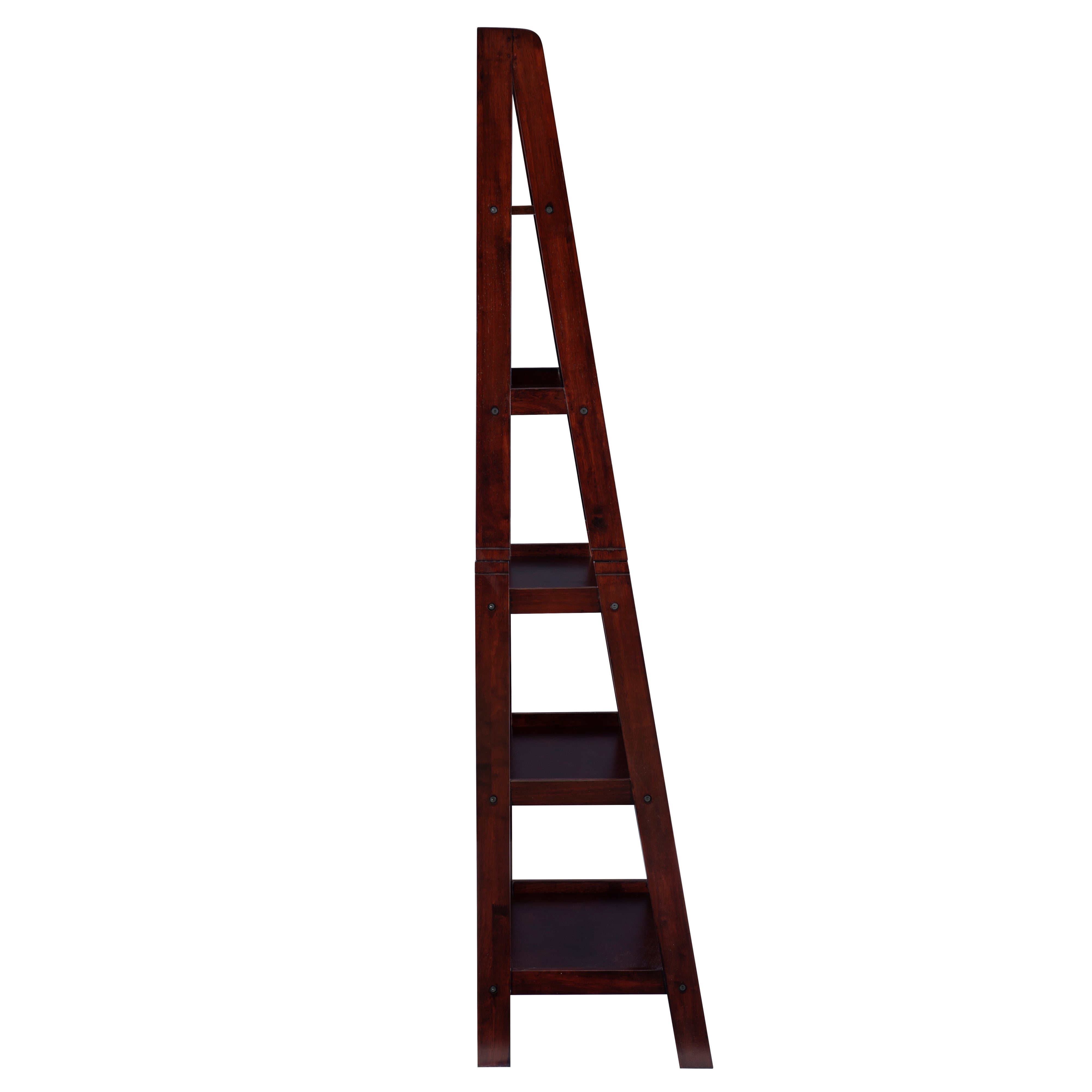 Ladder Bookshelf