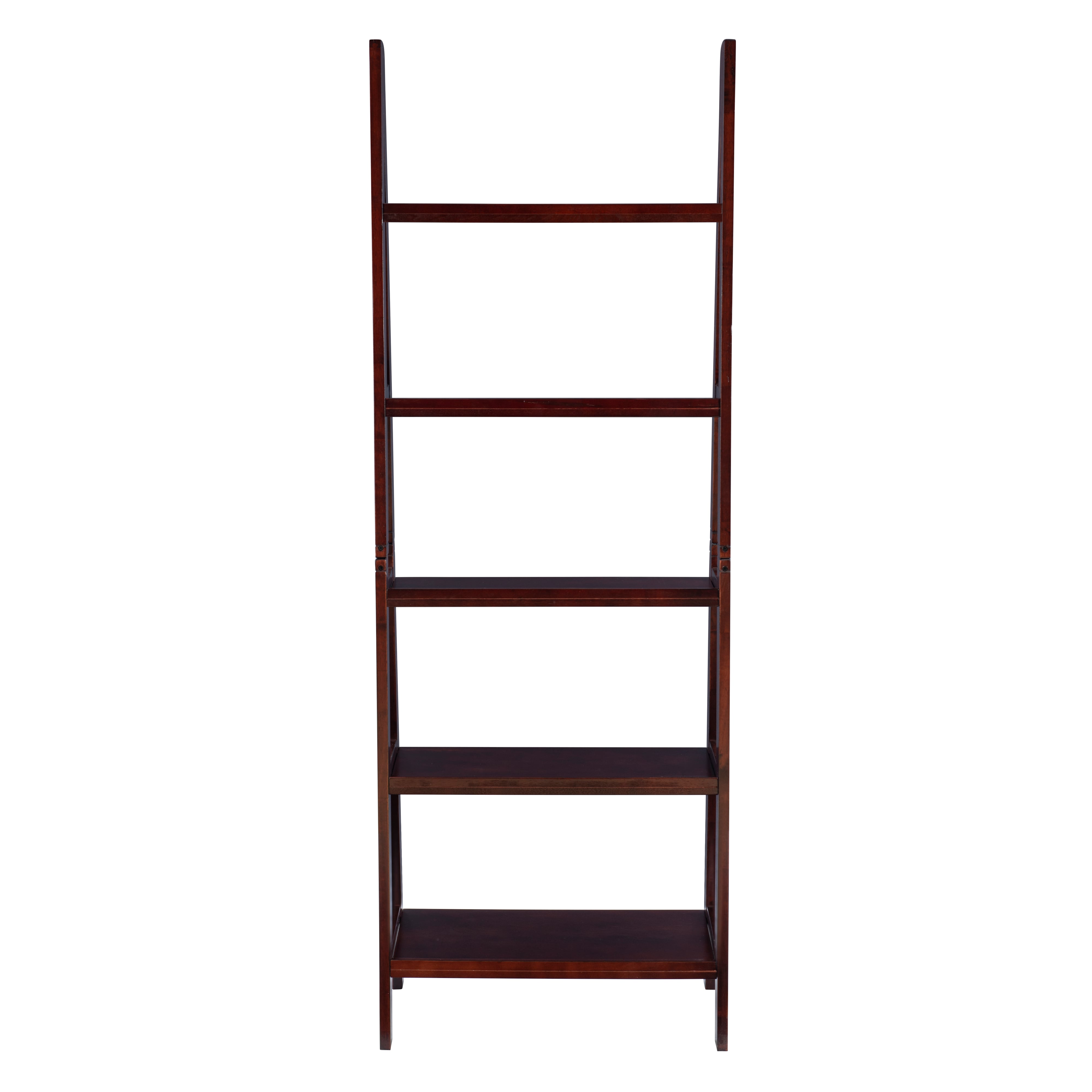 Ladder Bookshelf